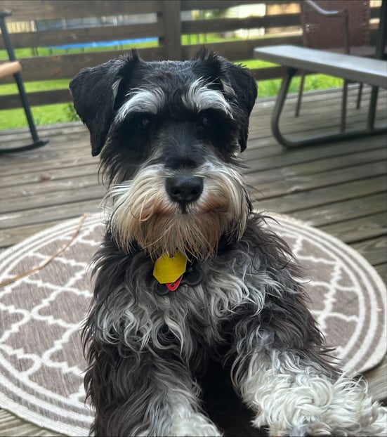 Grady