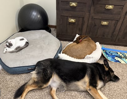 Home Office Mates