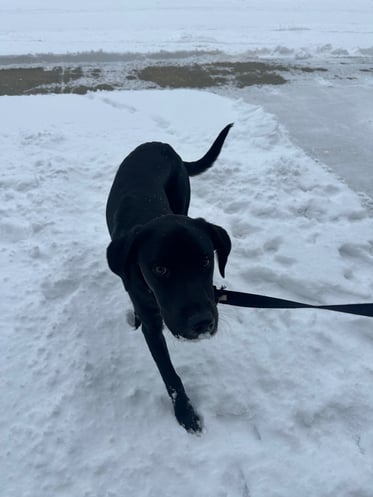 Megan Ebbrecht Snow Day