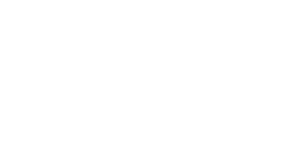 Brixey Meyer
